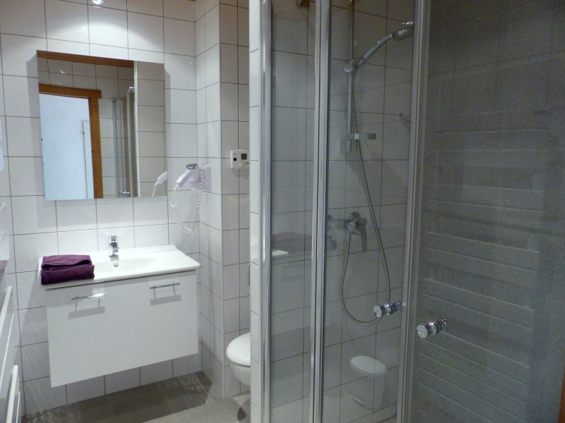 Hôtel les Flocons Hôtel les Flocons