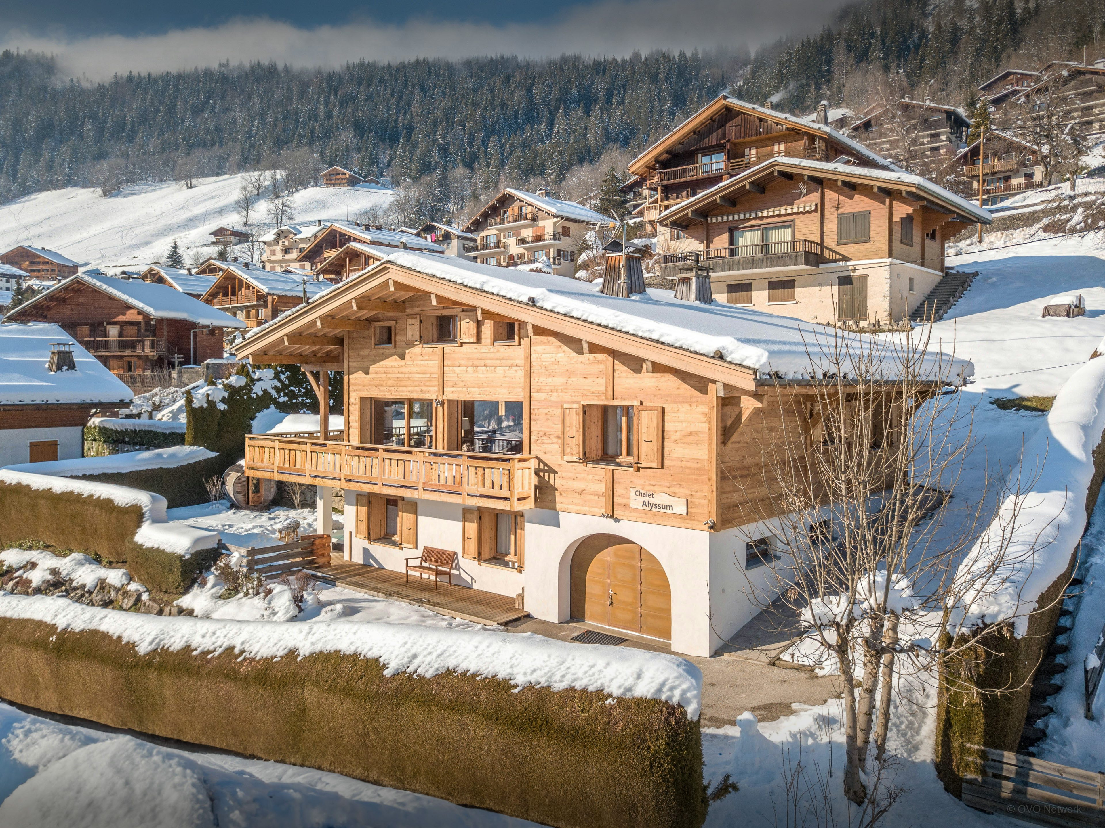 Chalet Alyssum