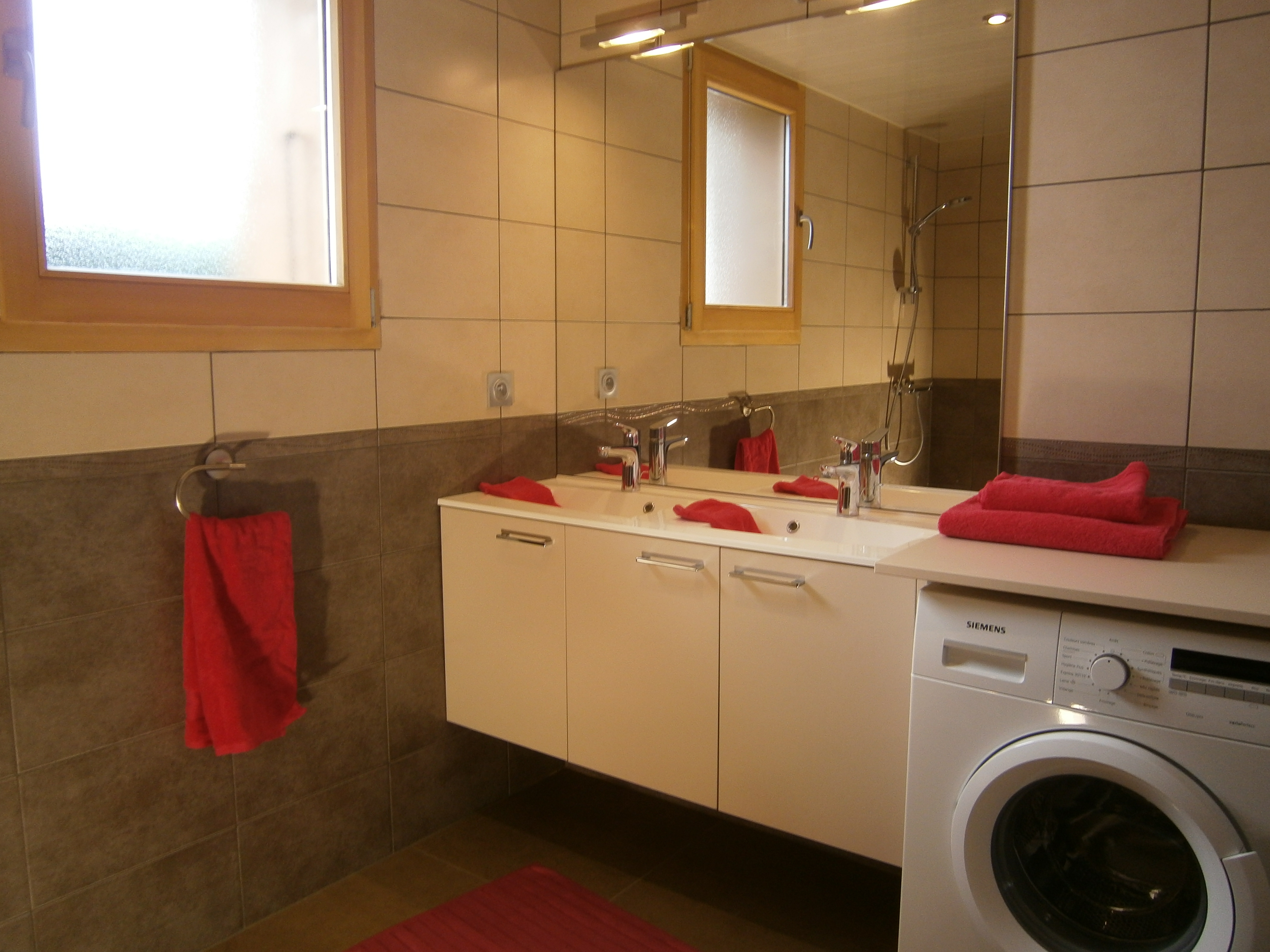 Boiseraie n° 4_Le Grand-Bornand