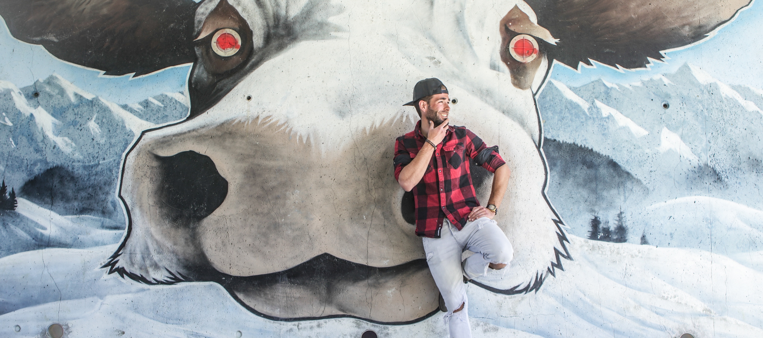 Art vache