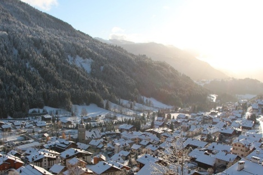 Vue