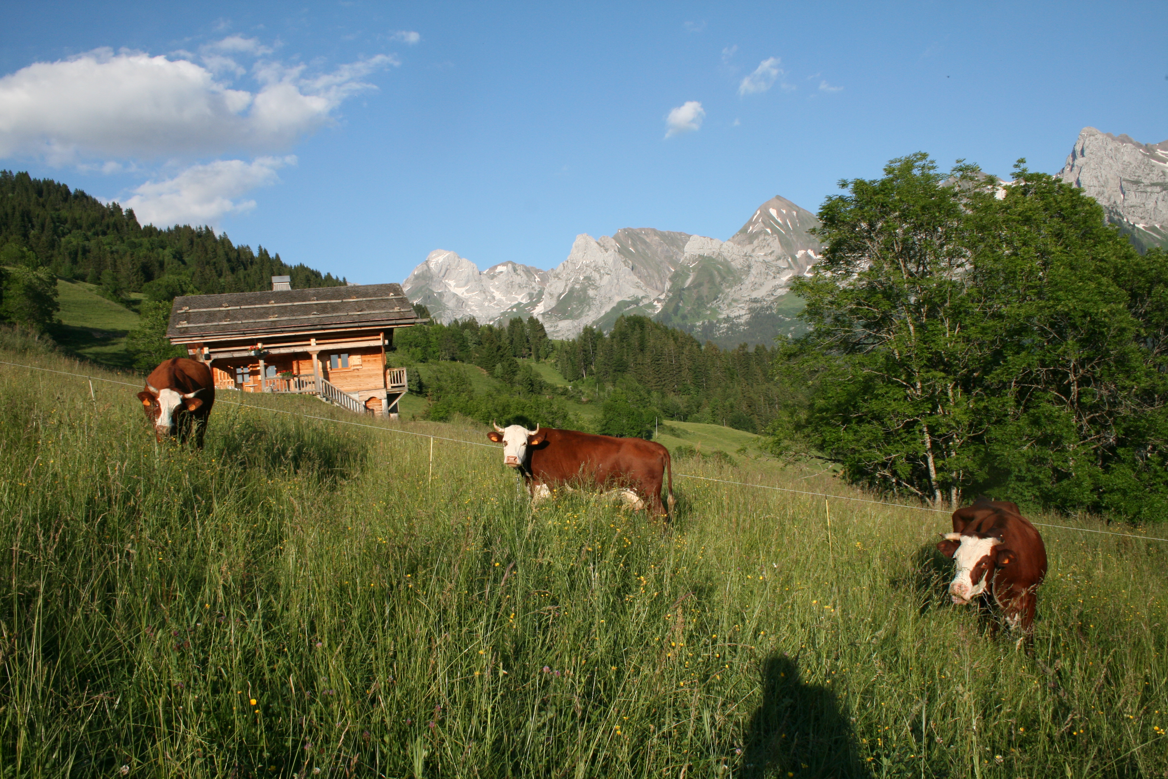 Chalet Ve Messelly