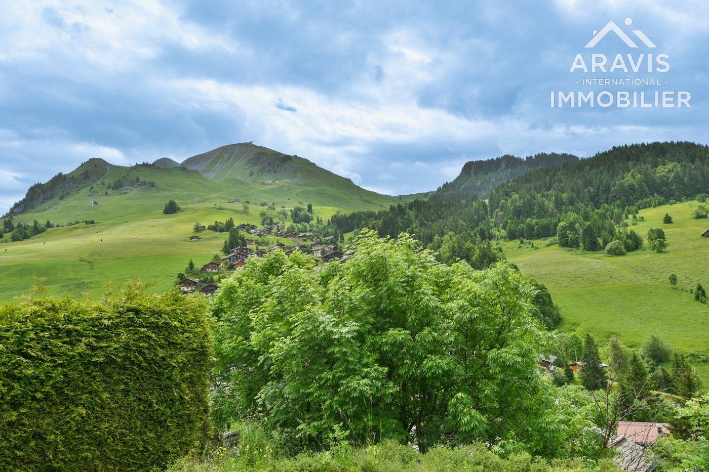 _clients_227445001_photos_170j_4636708