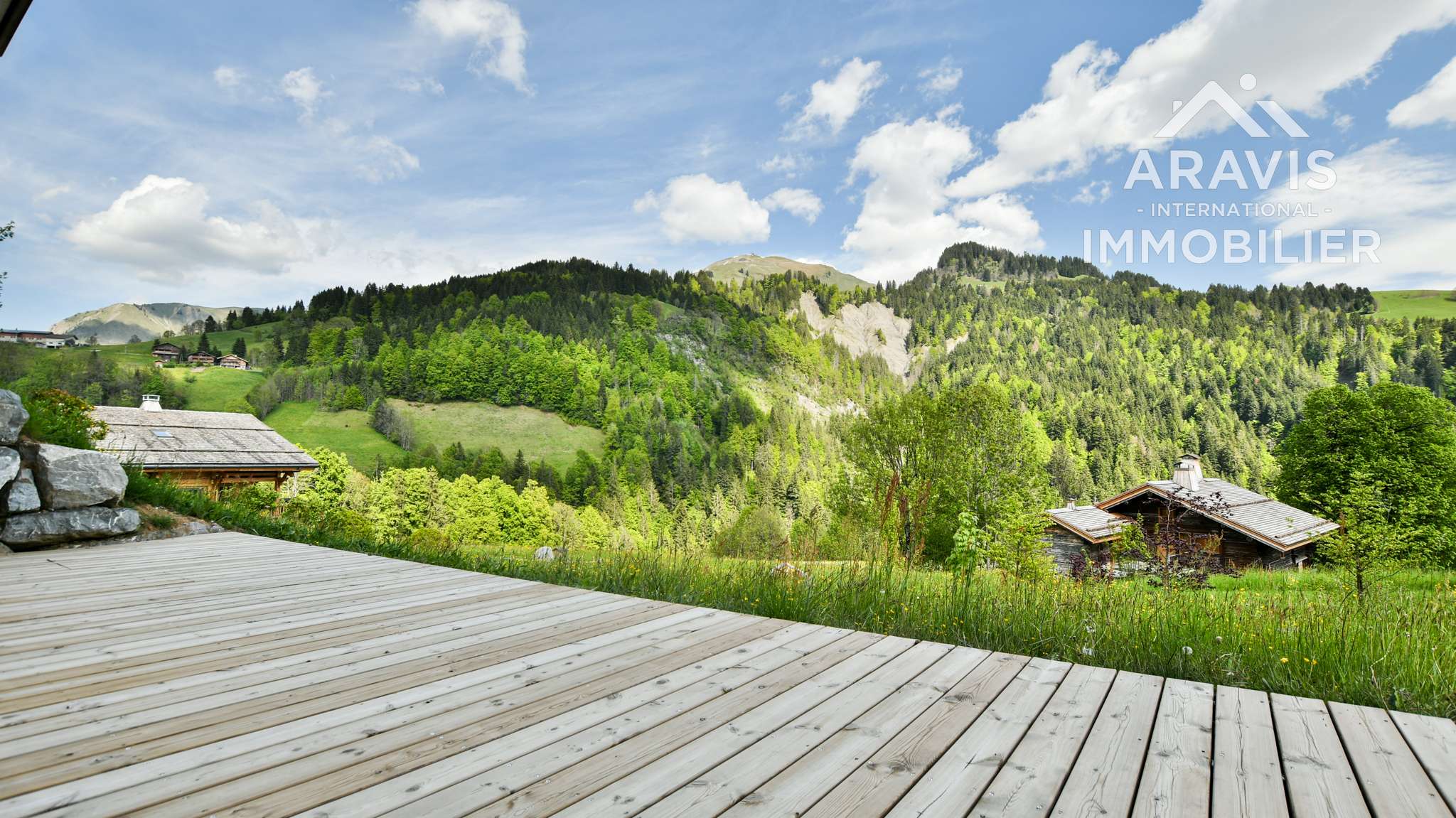 _clients_227445001_photos_172aw_4636777