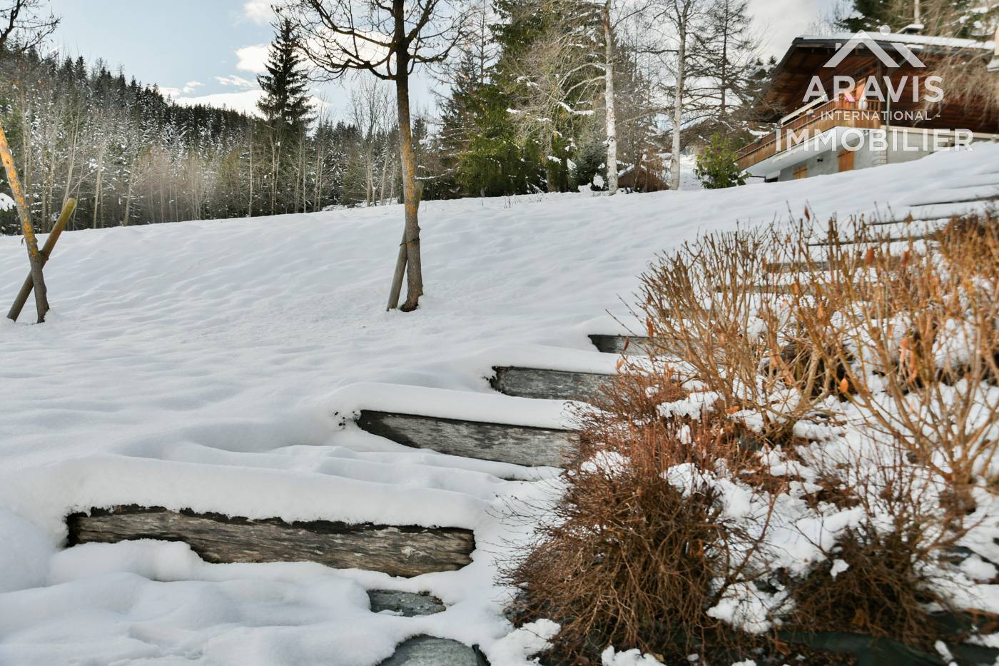 _clients_227445001_photos_206aw_4636970