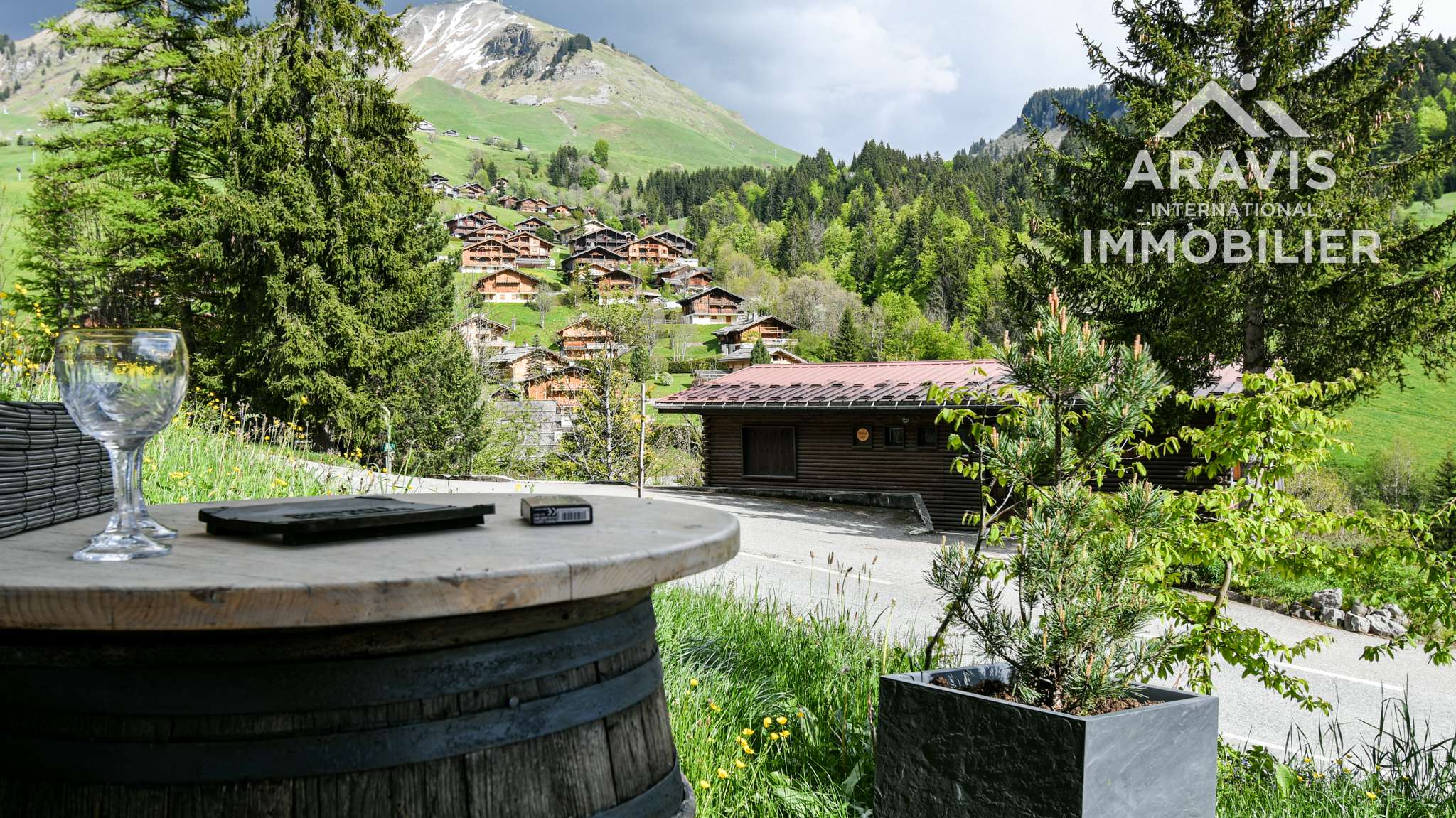 _clients_227445001_photos_241v_4637443