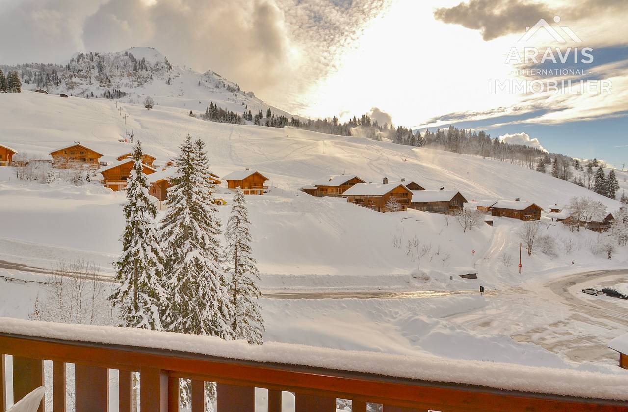 _clients_227445001_photos_36y_4637605