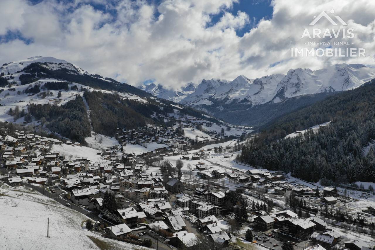 _clients_227445001_photos_37x_4637634