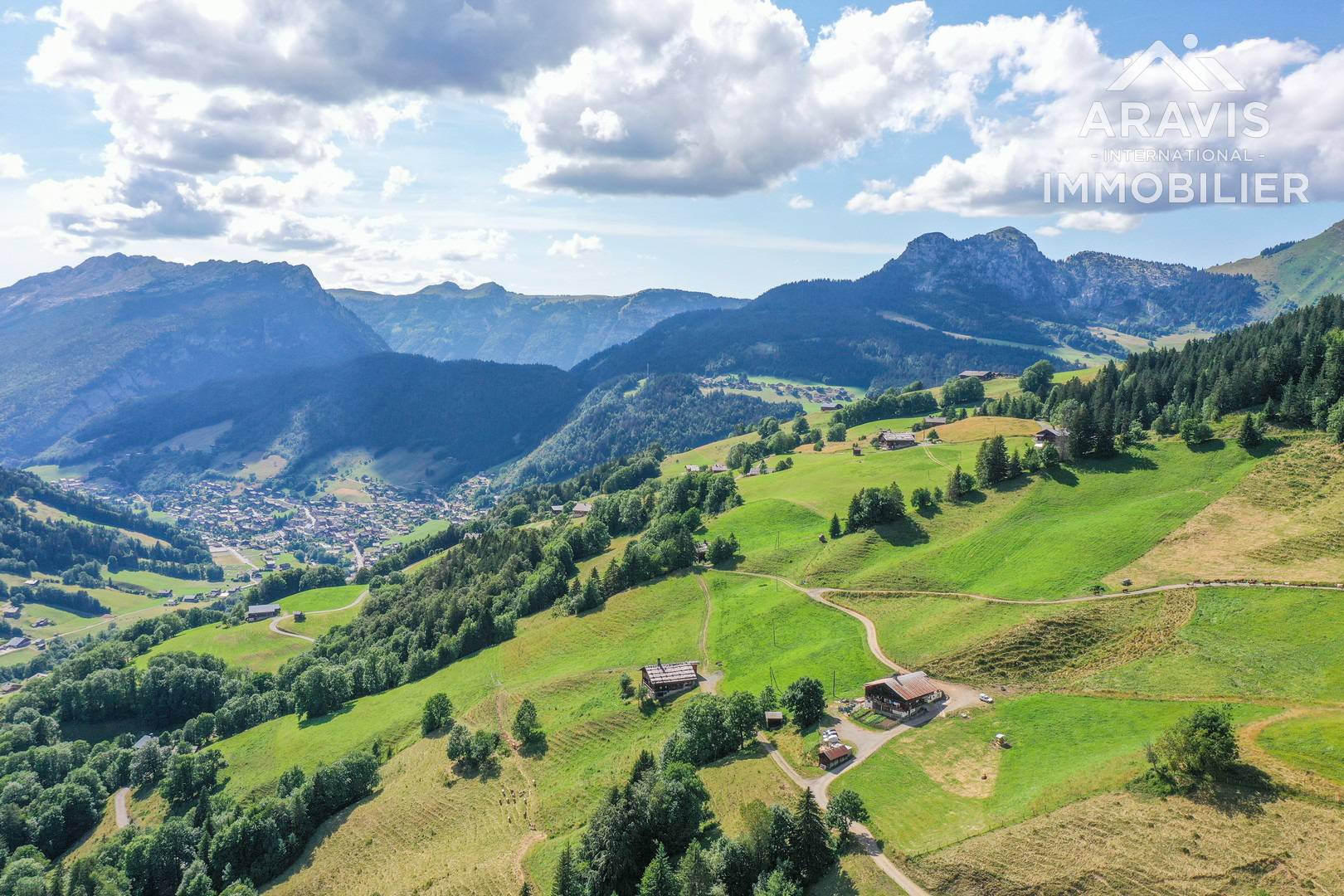 _clients_227445001_photos_37y_4637635