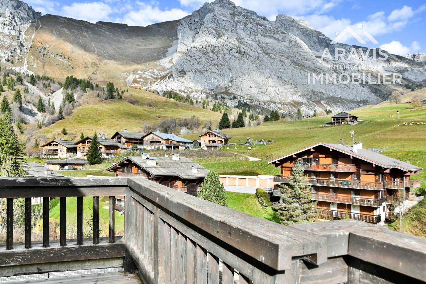 _clients_227445001_photos_48r_4637809