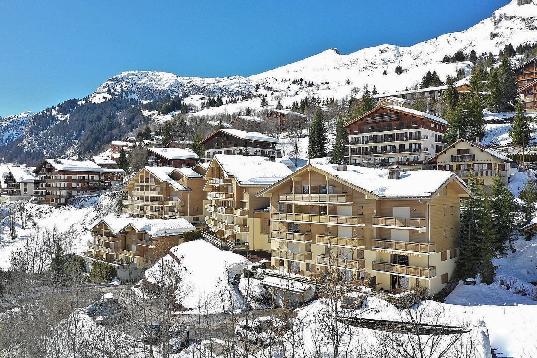 _clients_227445001_photos_84l_4638132