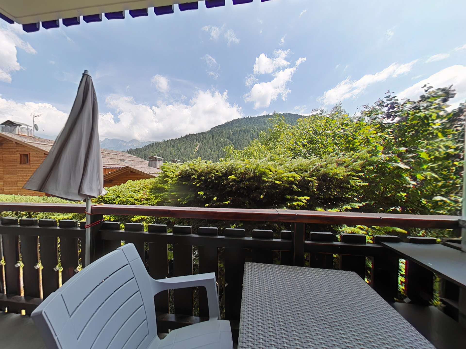 _clients_227445002_photos_10047p_4892973