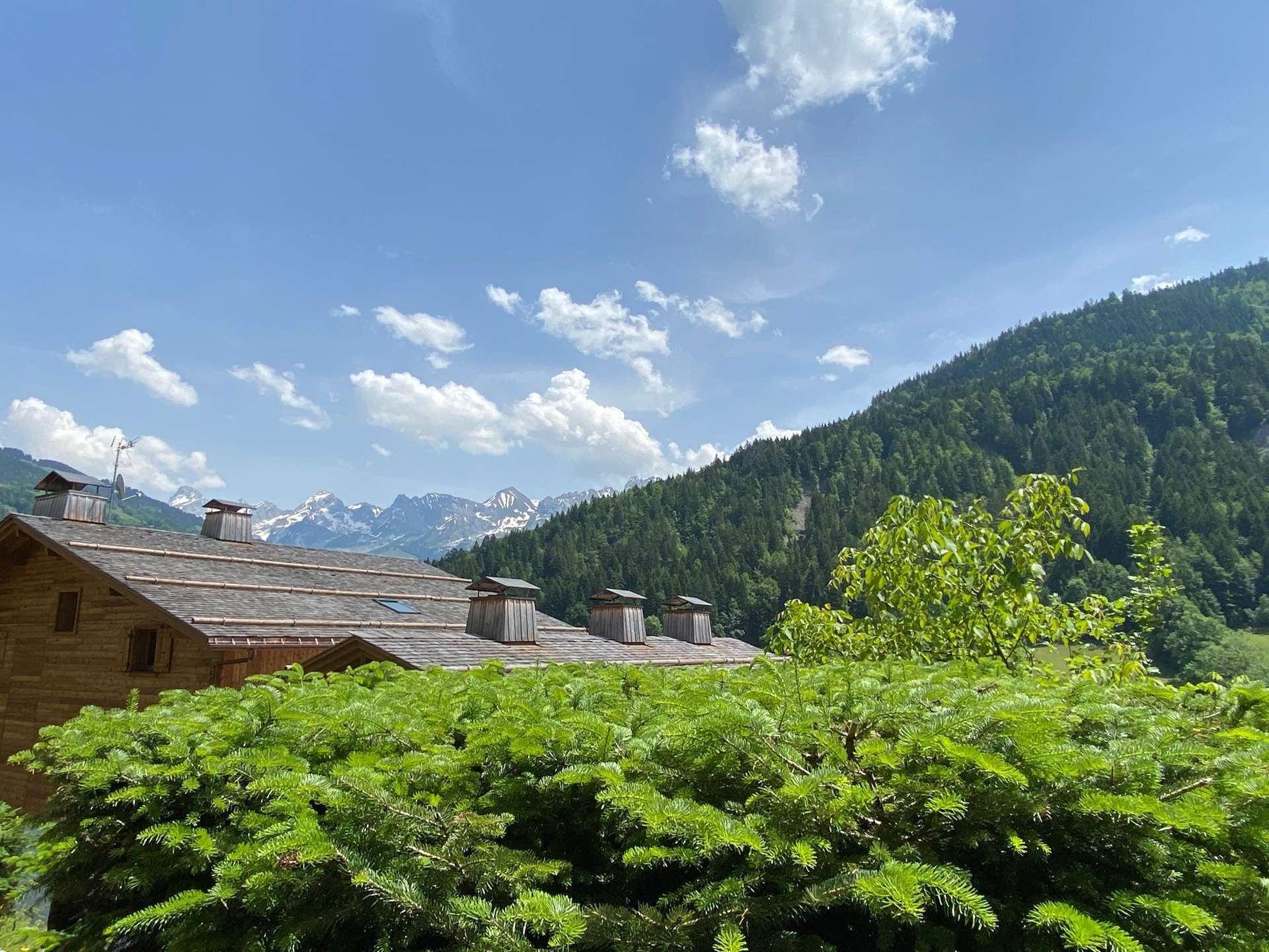 _clients_227445002_photos_10049m_5338411