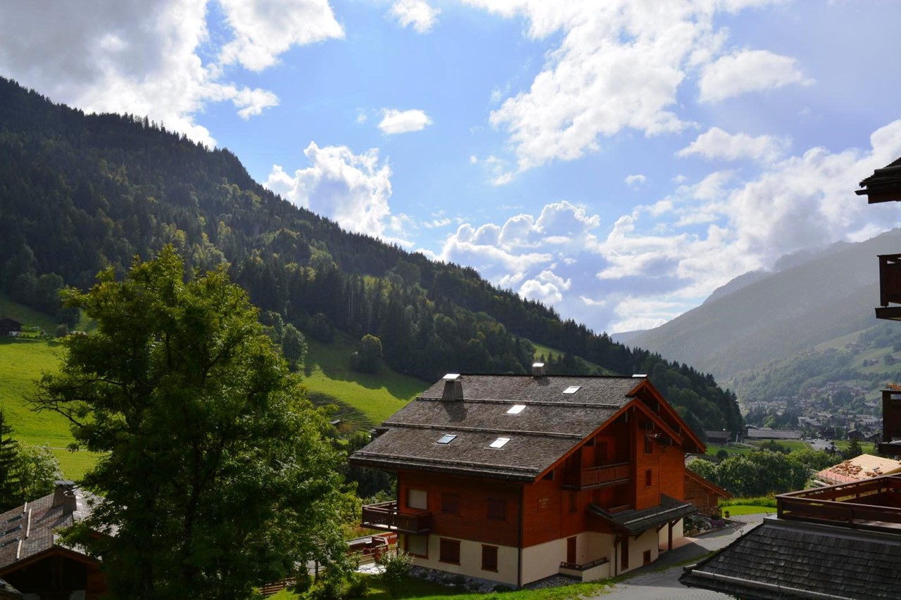 _clients_227445002_photos_10051m_5411472