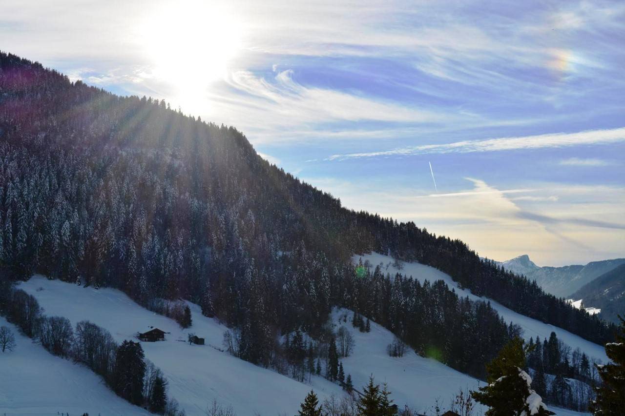 _clients_227445002_photos_10132r_5375091