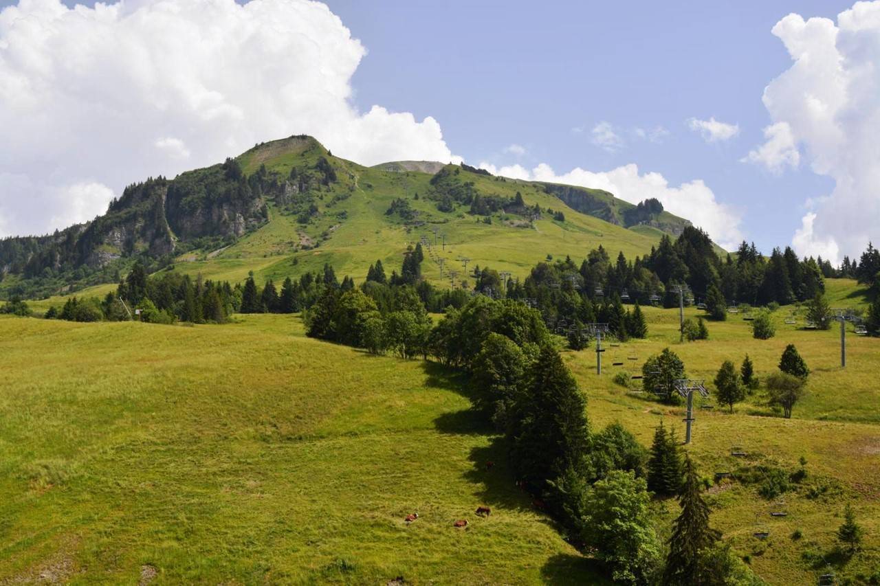 _clients_227445002_photos_10169r_4720092