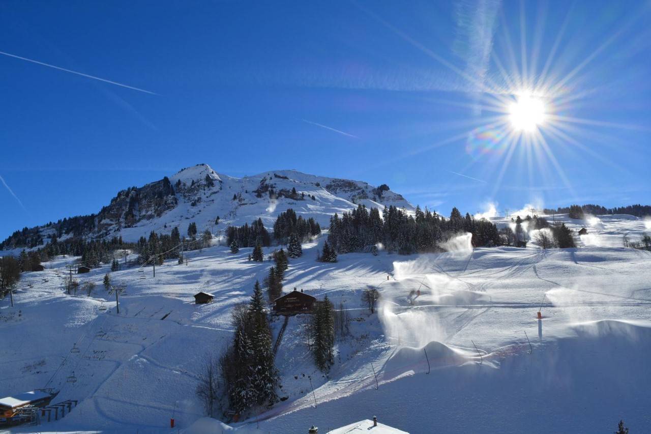 _clients_227445002_photos_10169t_5429564