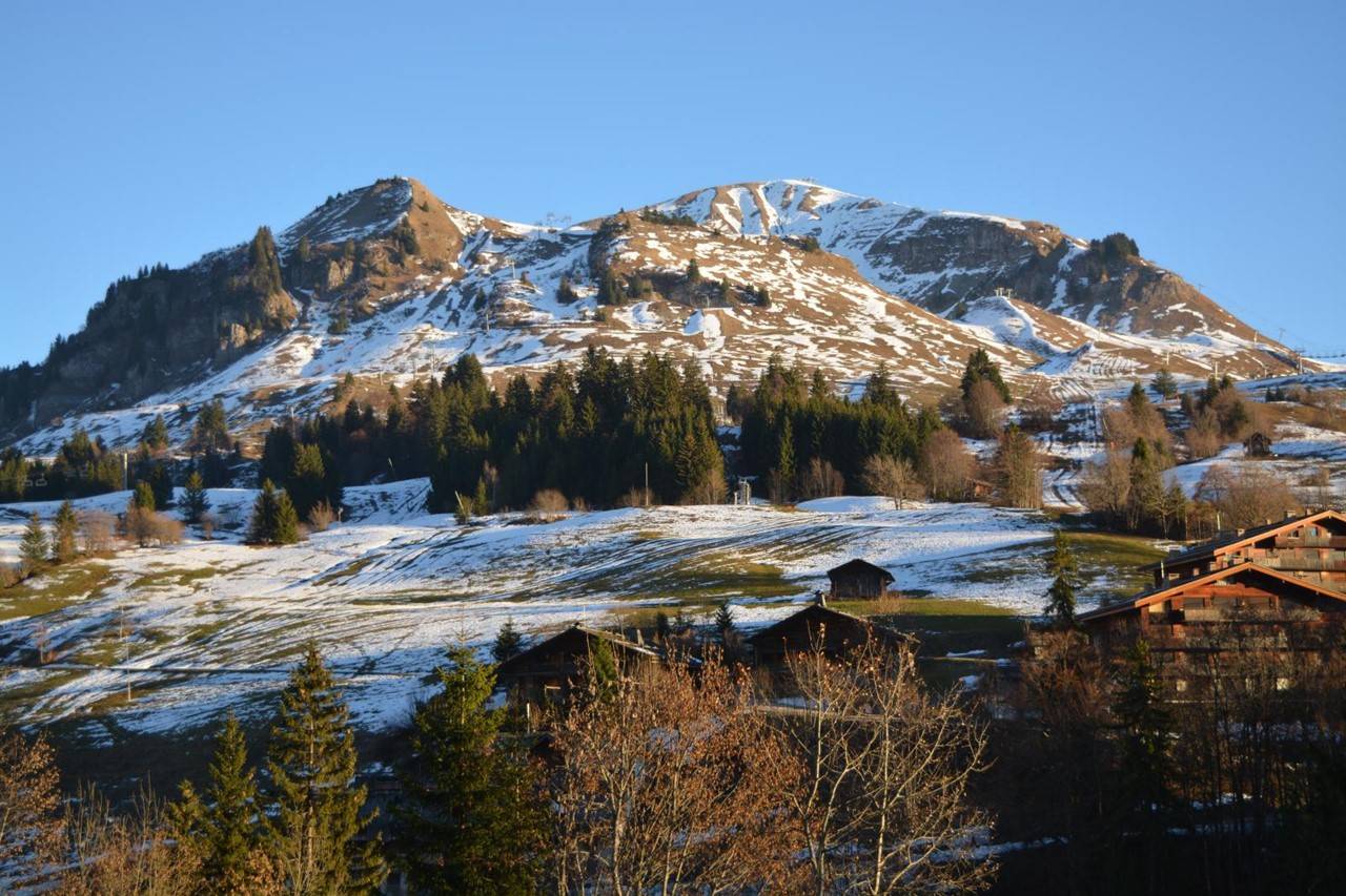 _clients_227445002_photos_10191o_4716133