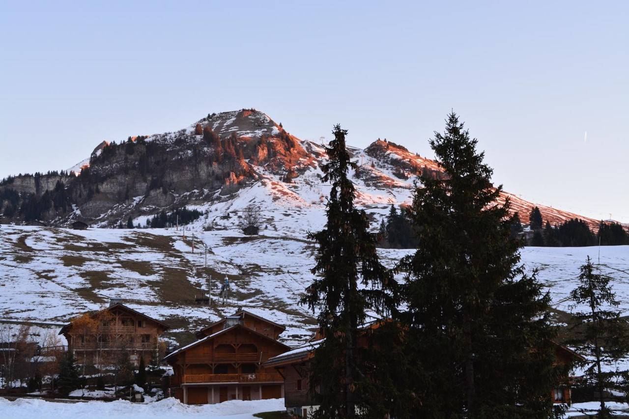 _clients_227445002_photos_9829r_4872015