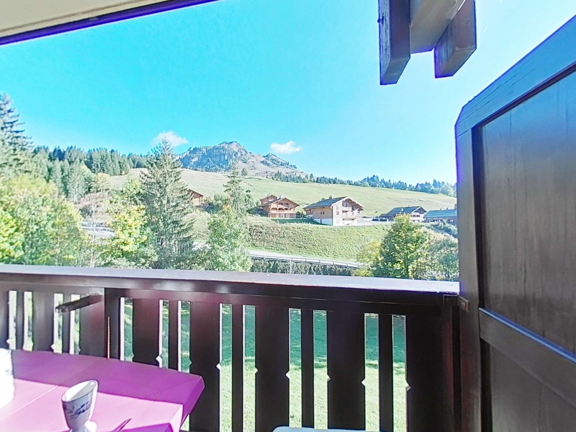 _clients_227445002_photos_9830u_5375830