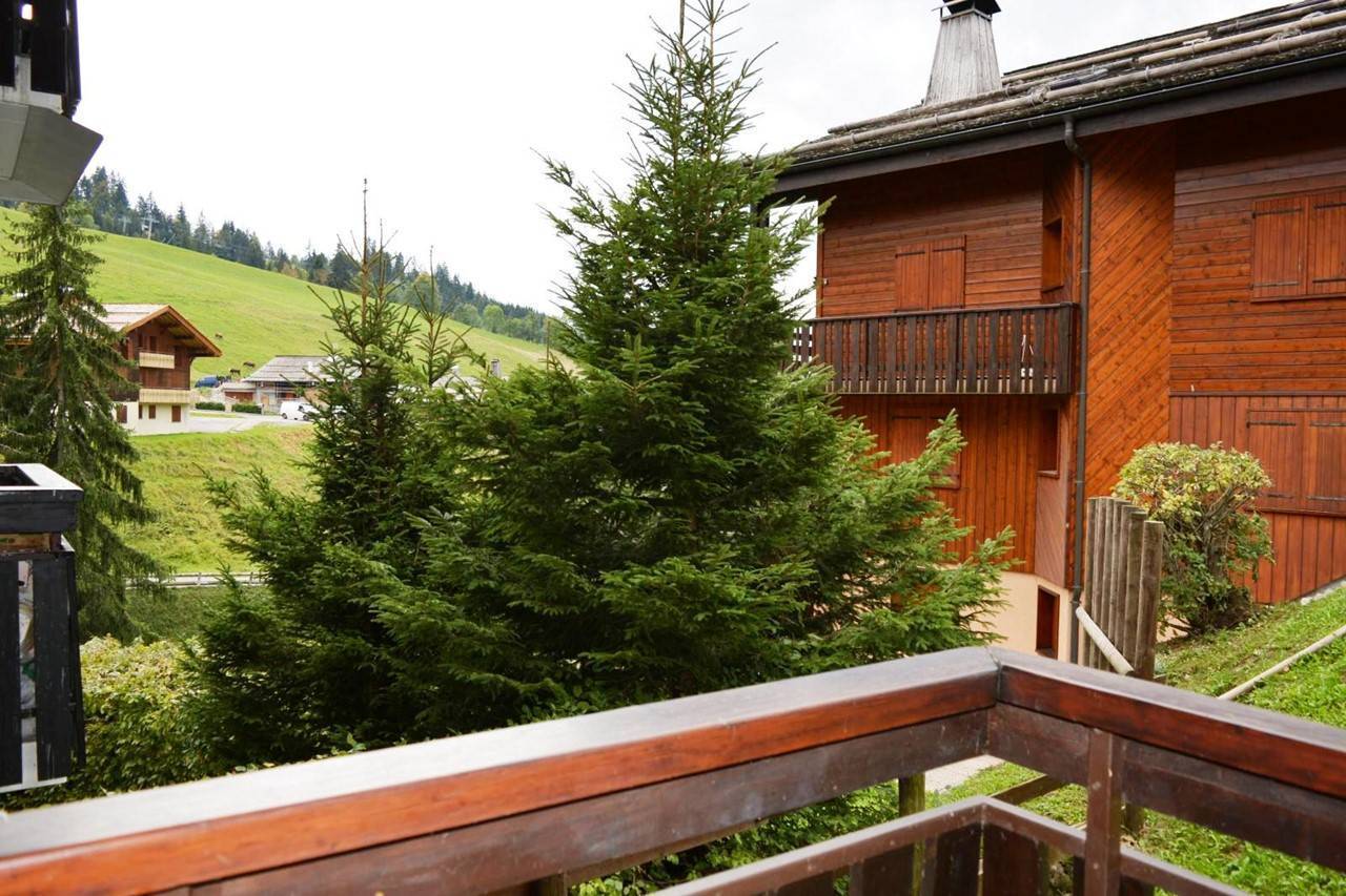 _clients_227445002_photos_9920v_5166623