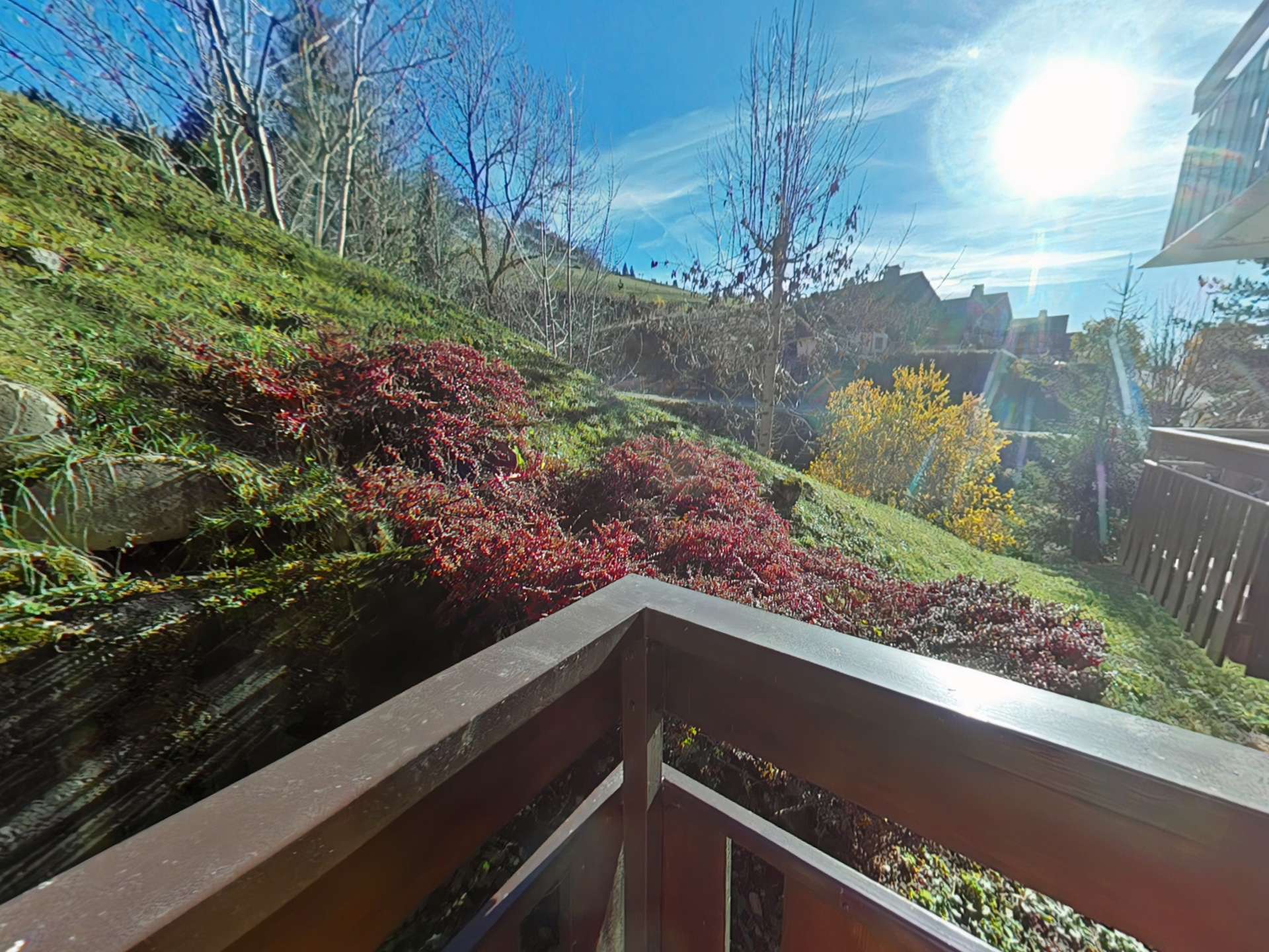 _clients_227445002_photos_9946p_4885648