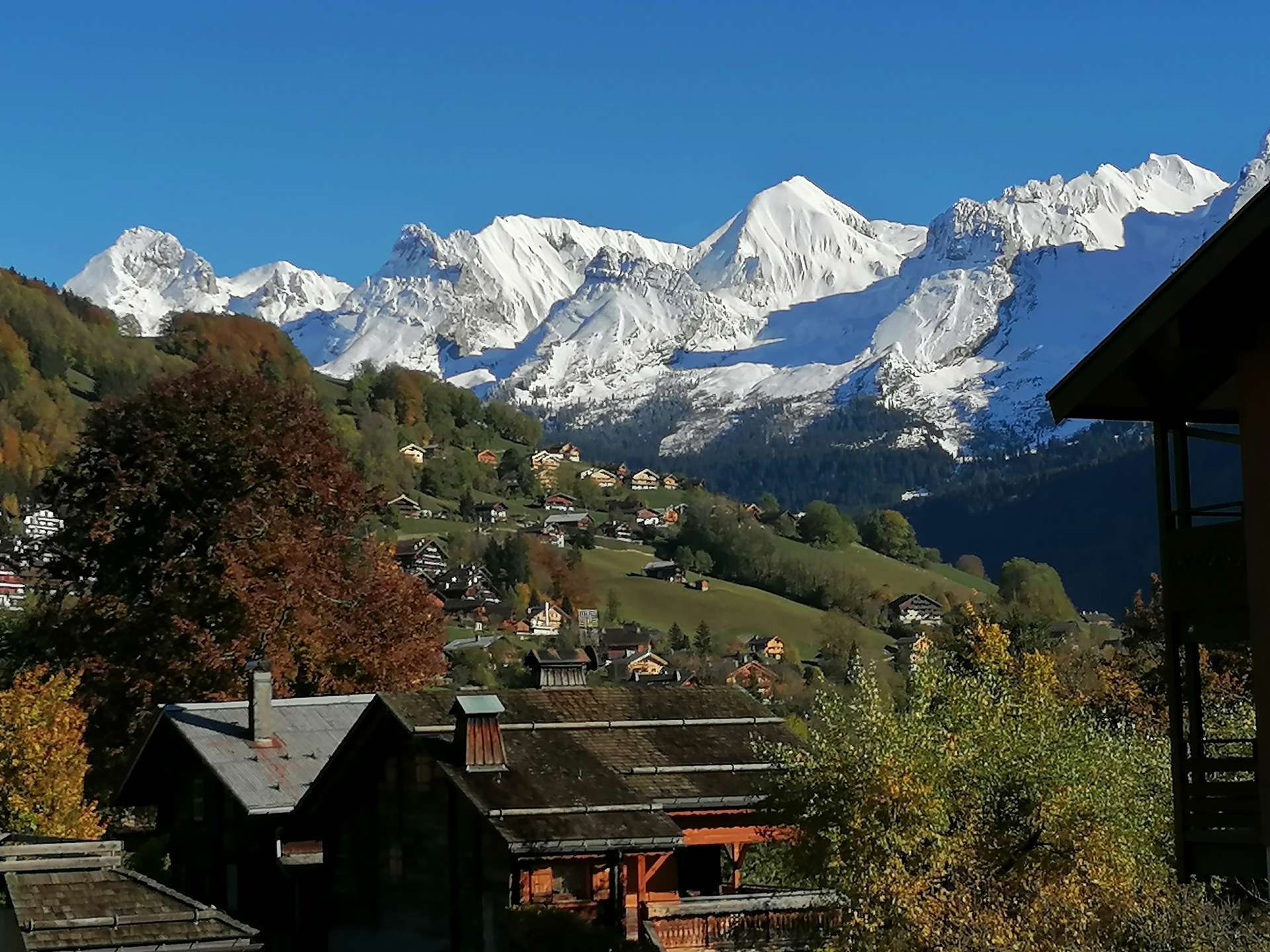 _clients_227445002_photos_9961o_4876924