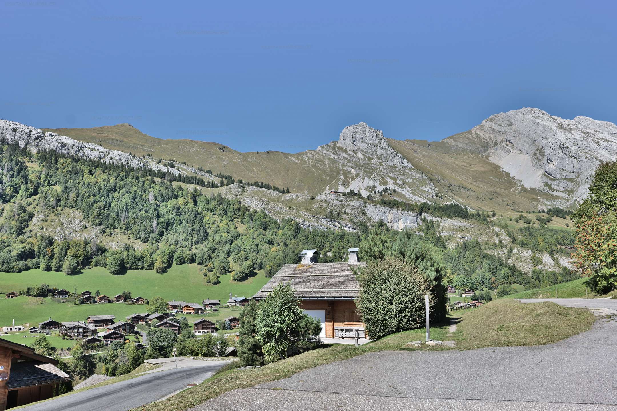 _clients_227445005_photos_101t_4721471