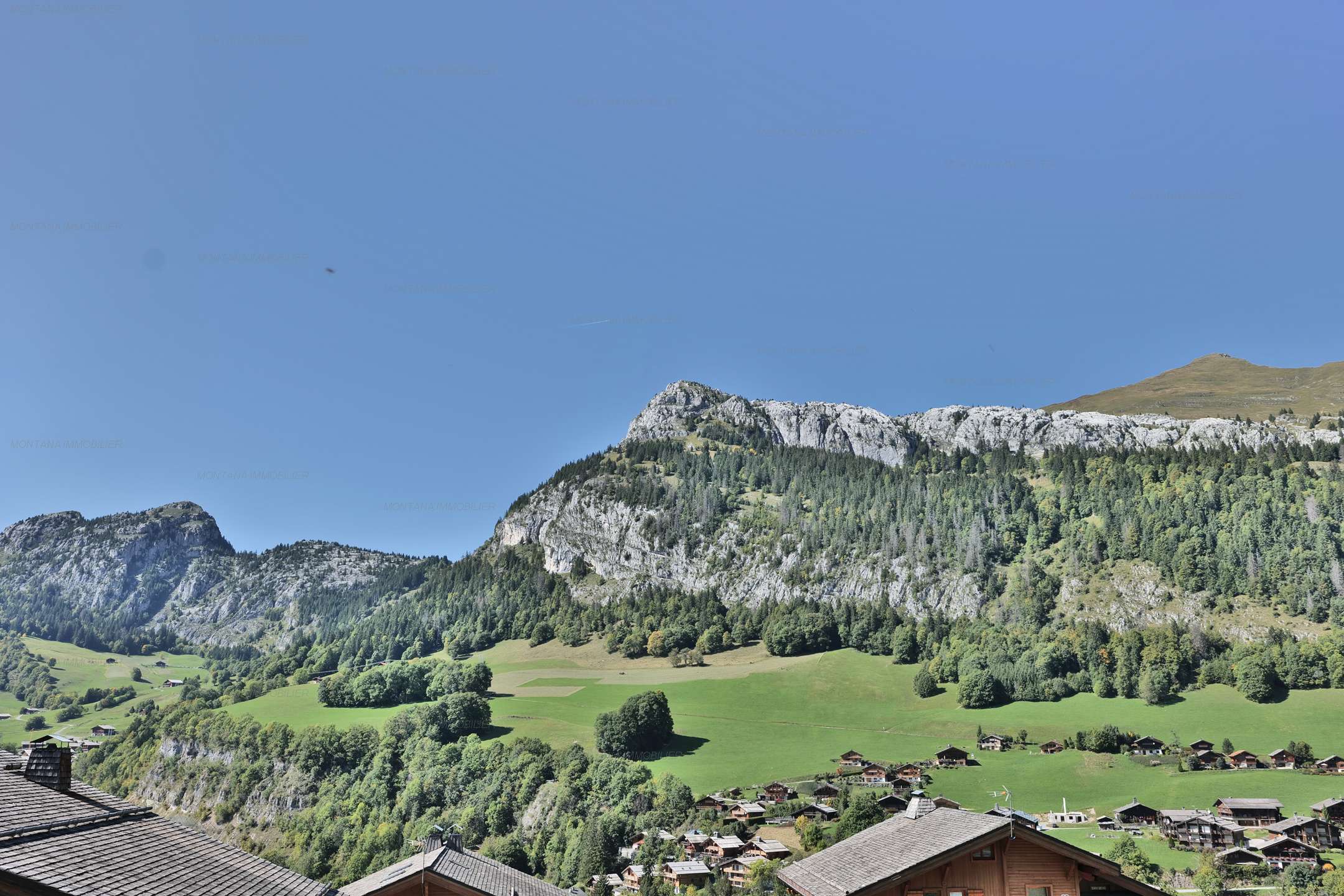 _clients_227445005_photos_101u_4729784