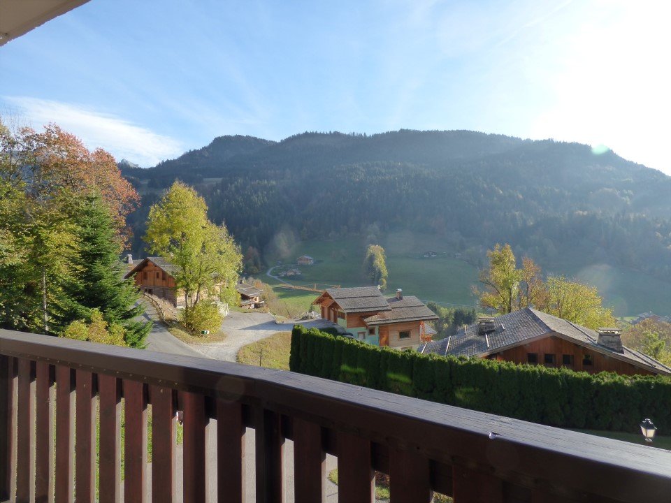 _clients_227445005_photos_105n_4733894