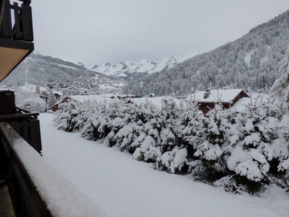 _clients_227445005_photos_112o_4886014