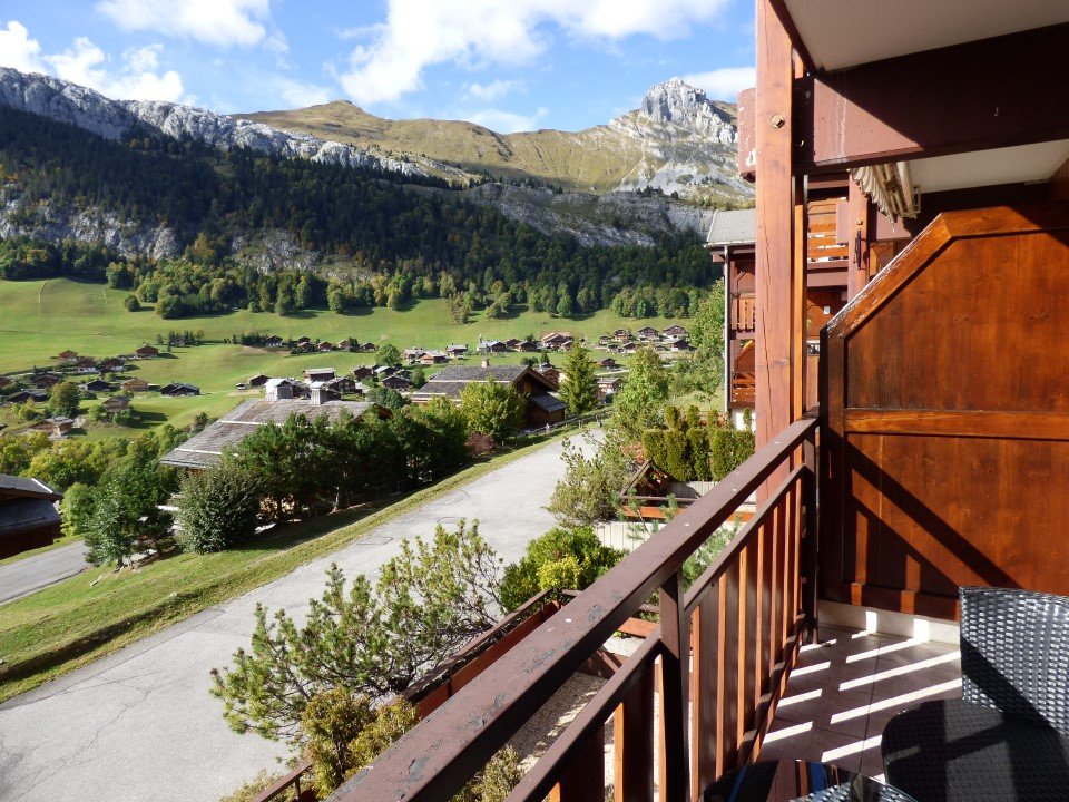 _clients_227445005_photos_121k_4717549