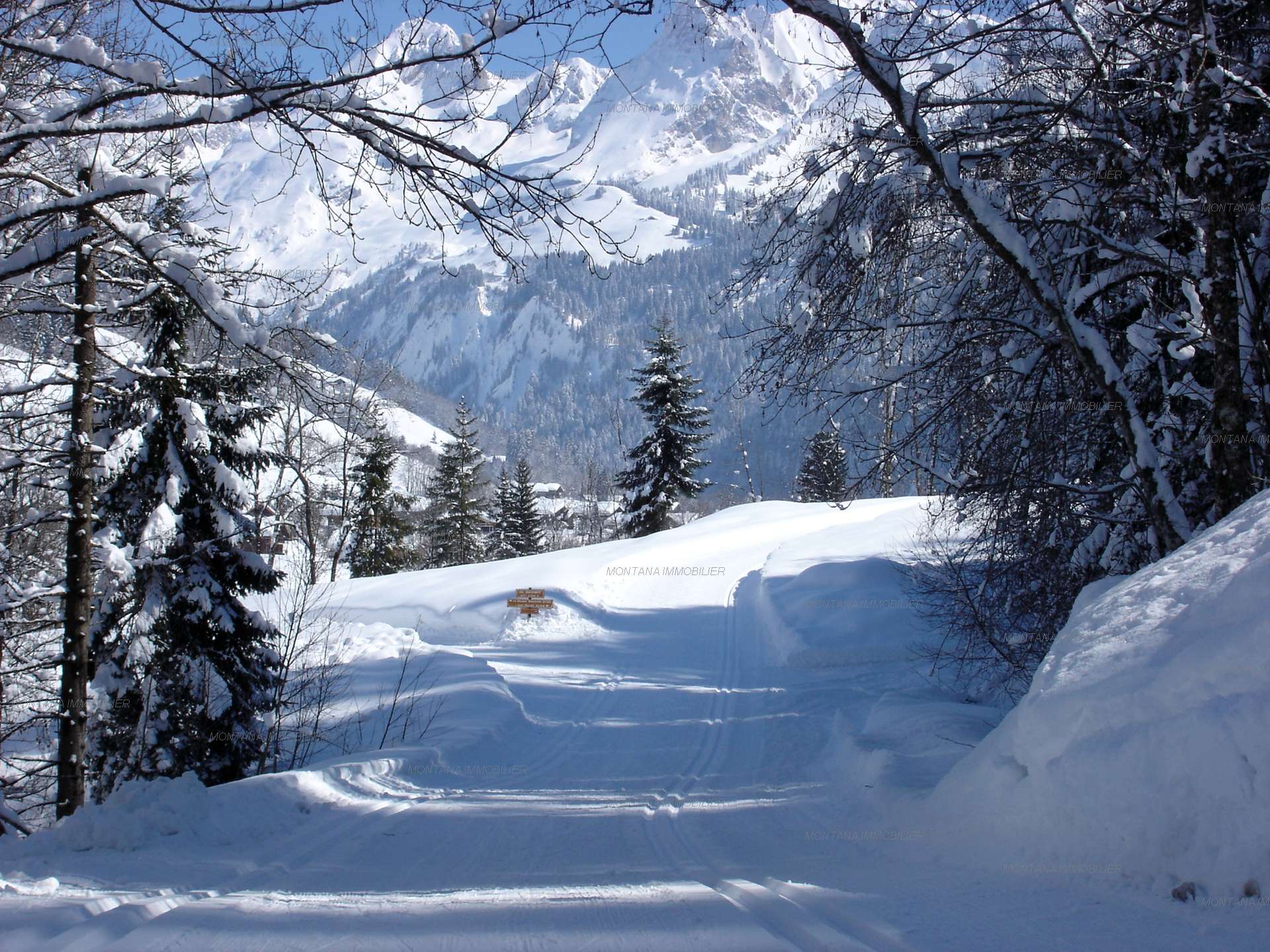 _clients_227445005_photos_125q_4738164