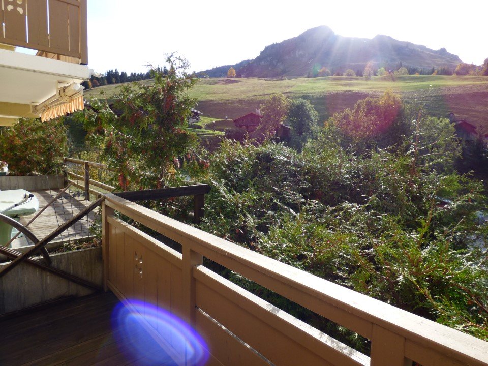 _clients_227445005_photos_129k_4721689