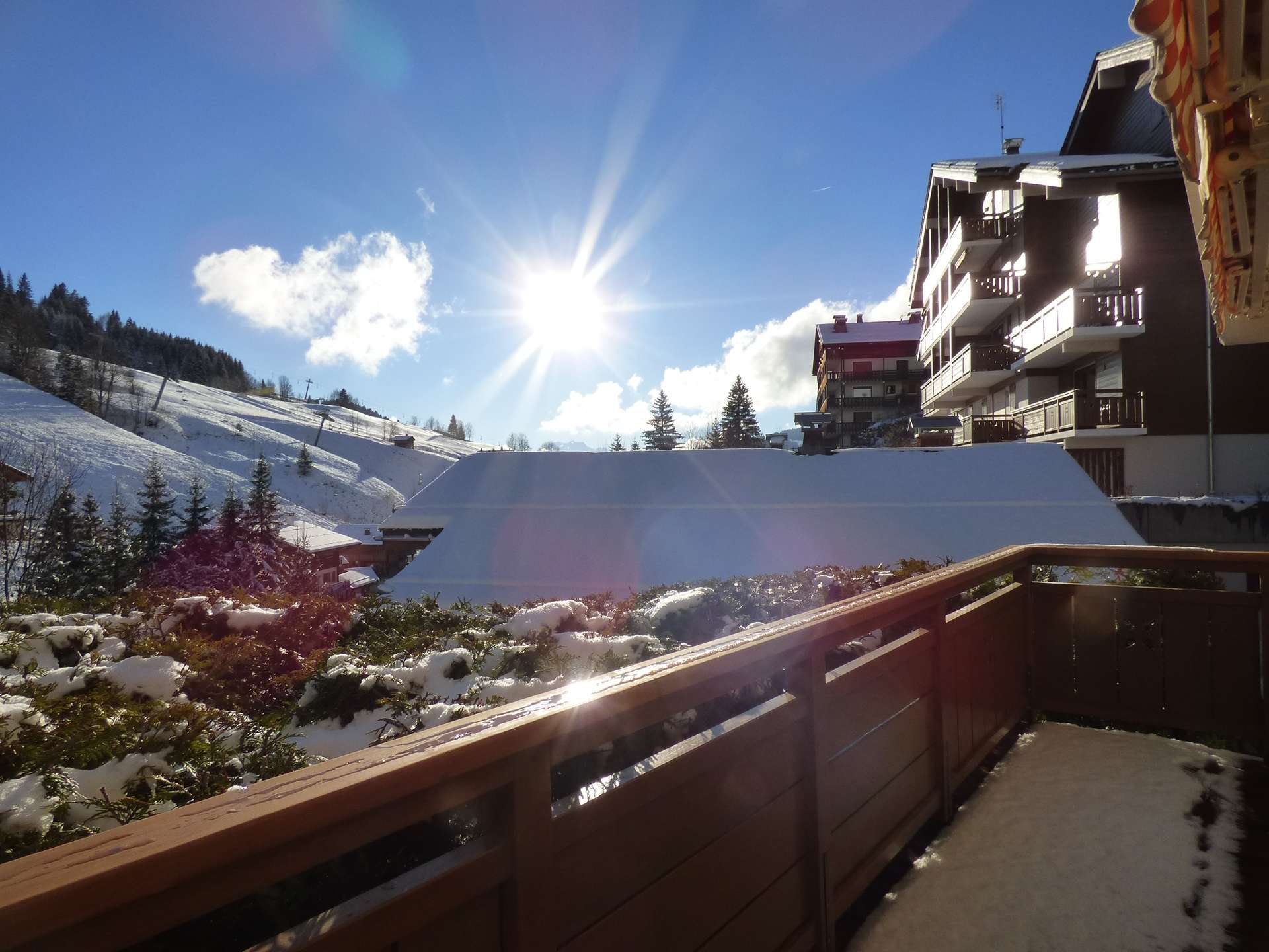 _clients_227445005_photos_129q_4721694