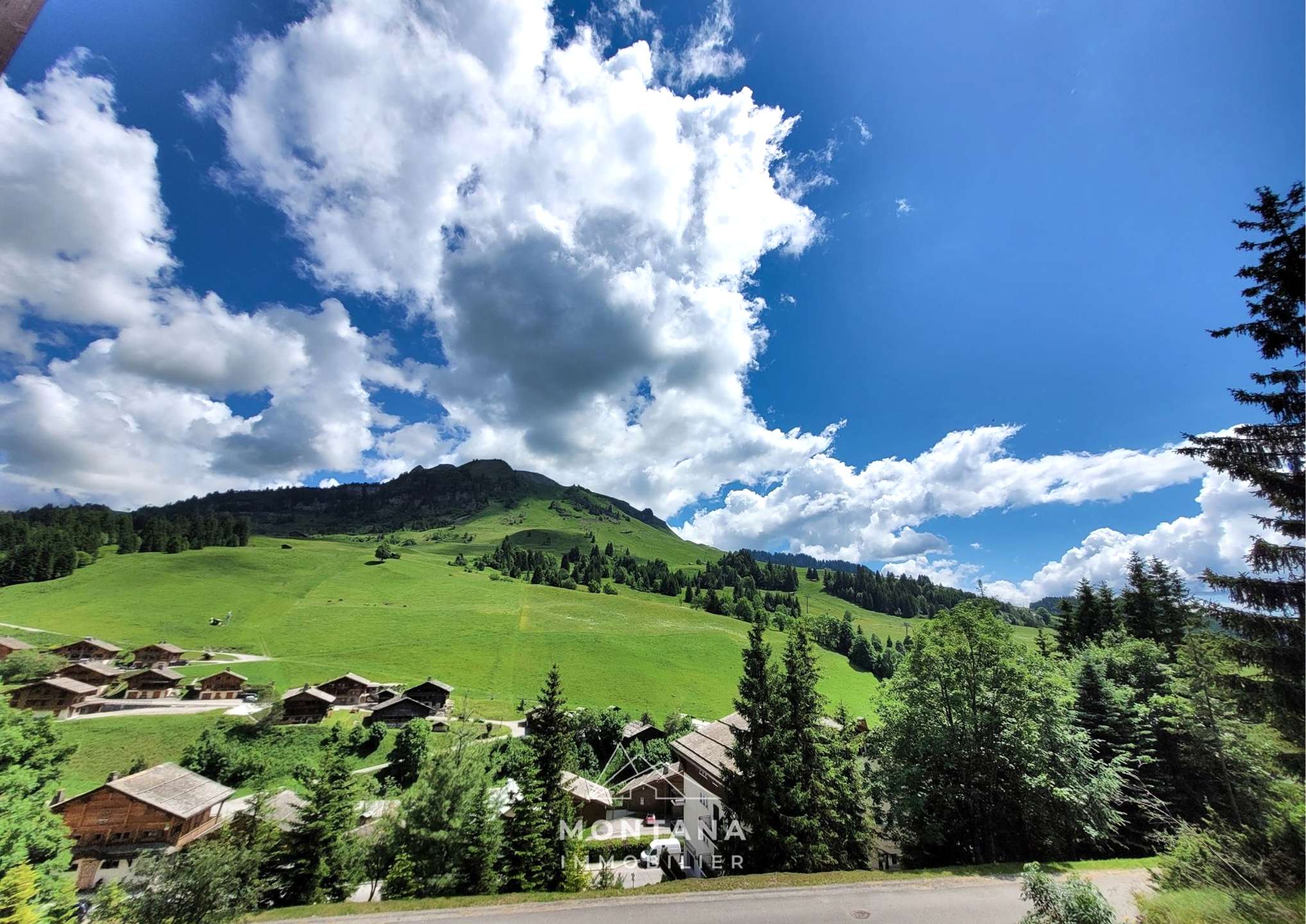 _clients_227445005_photos_141h_5493966