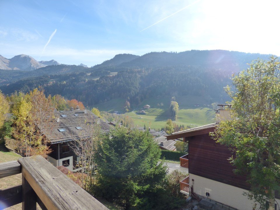 _clients_227445005_photos_14j_5413545