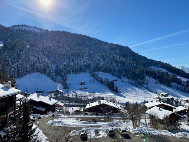 _clients_227445005_photos_164q_4929715