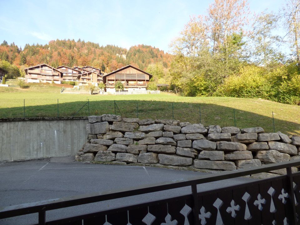 _clients_227445005_photos_16z_4154189