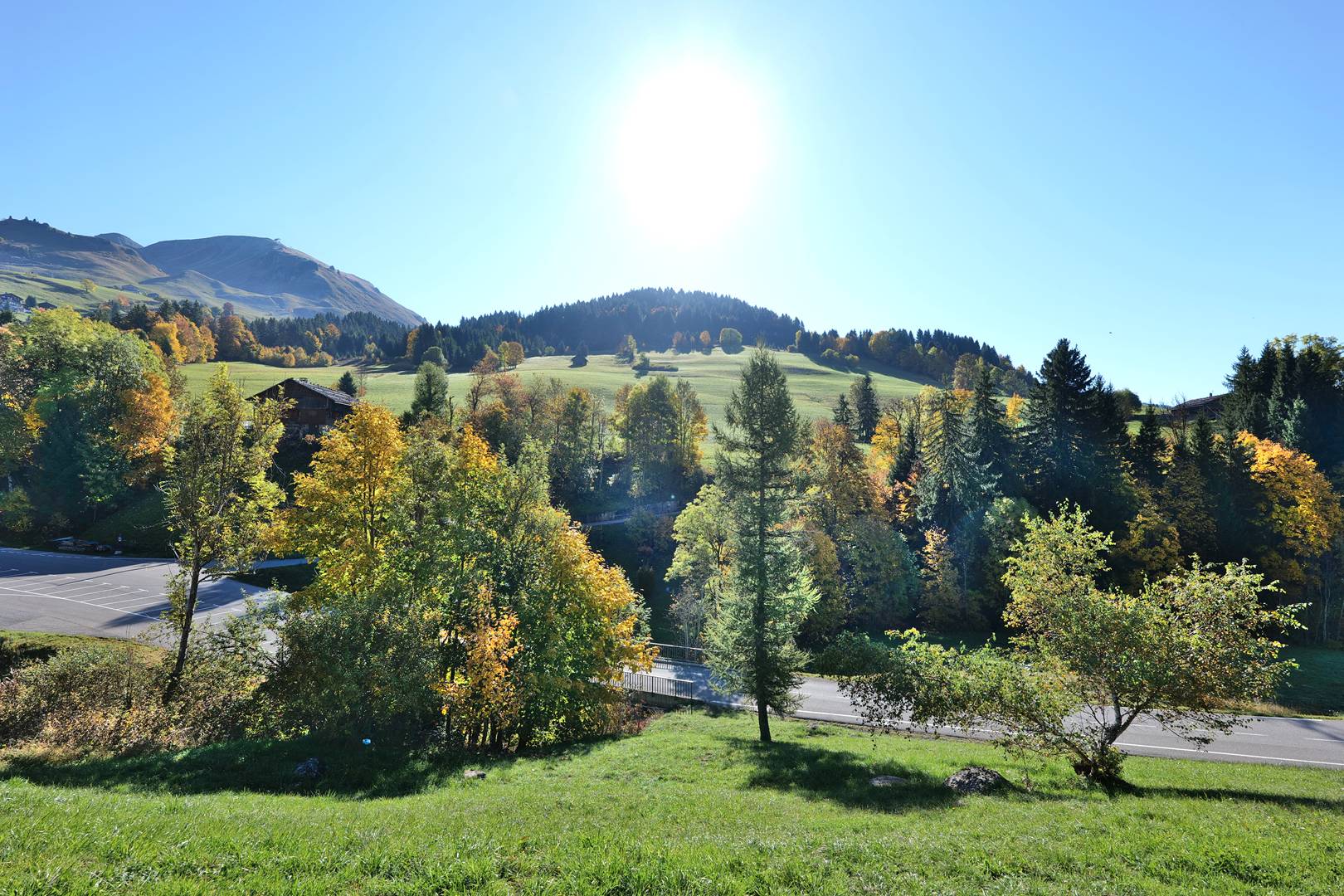 _clients_227445005_photos_190l_4726268