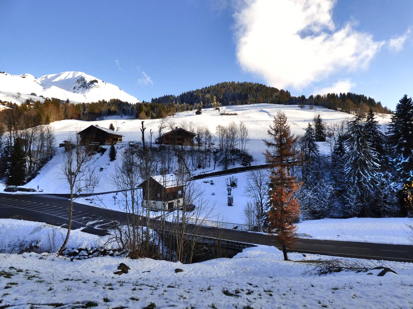 _clients_227445005_photos_190x_4730535