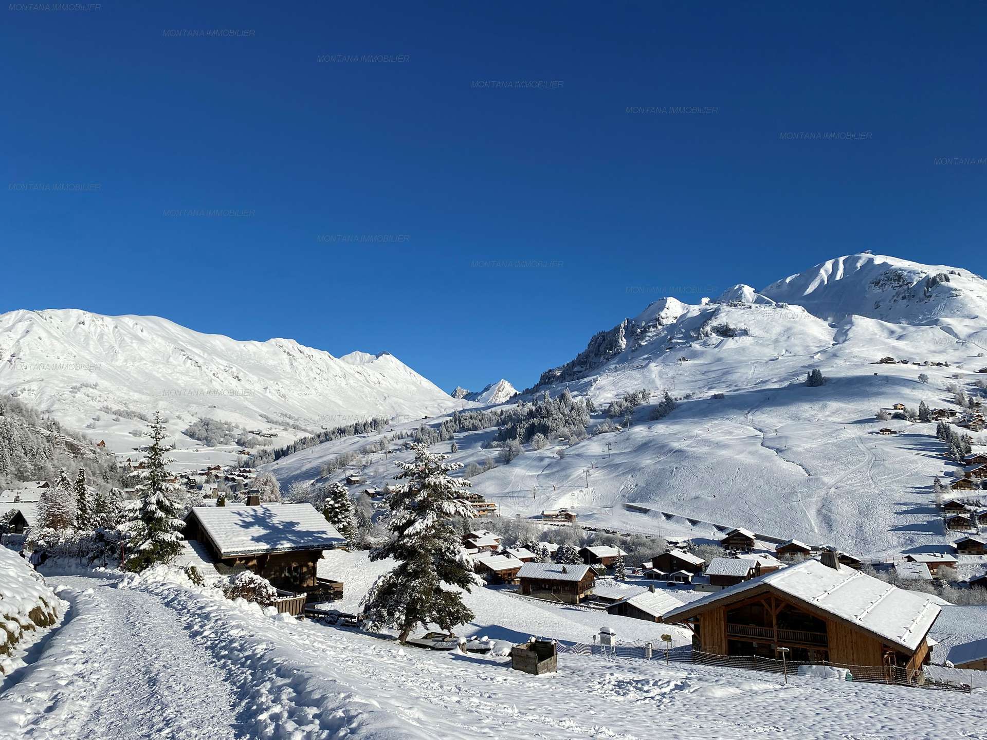 _clients_227445005_photos_202n_4930025