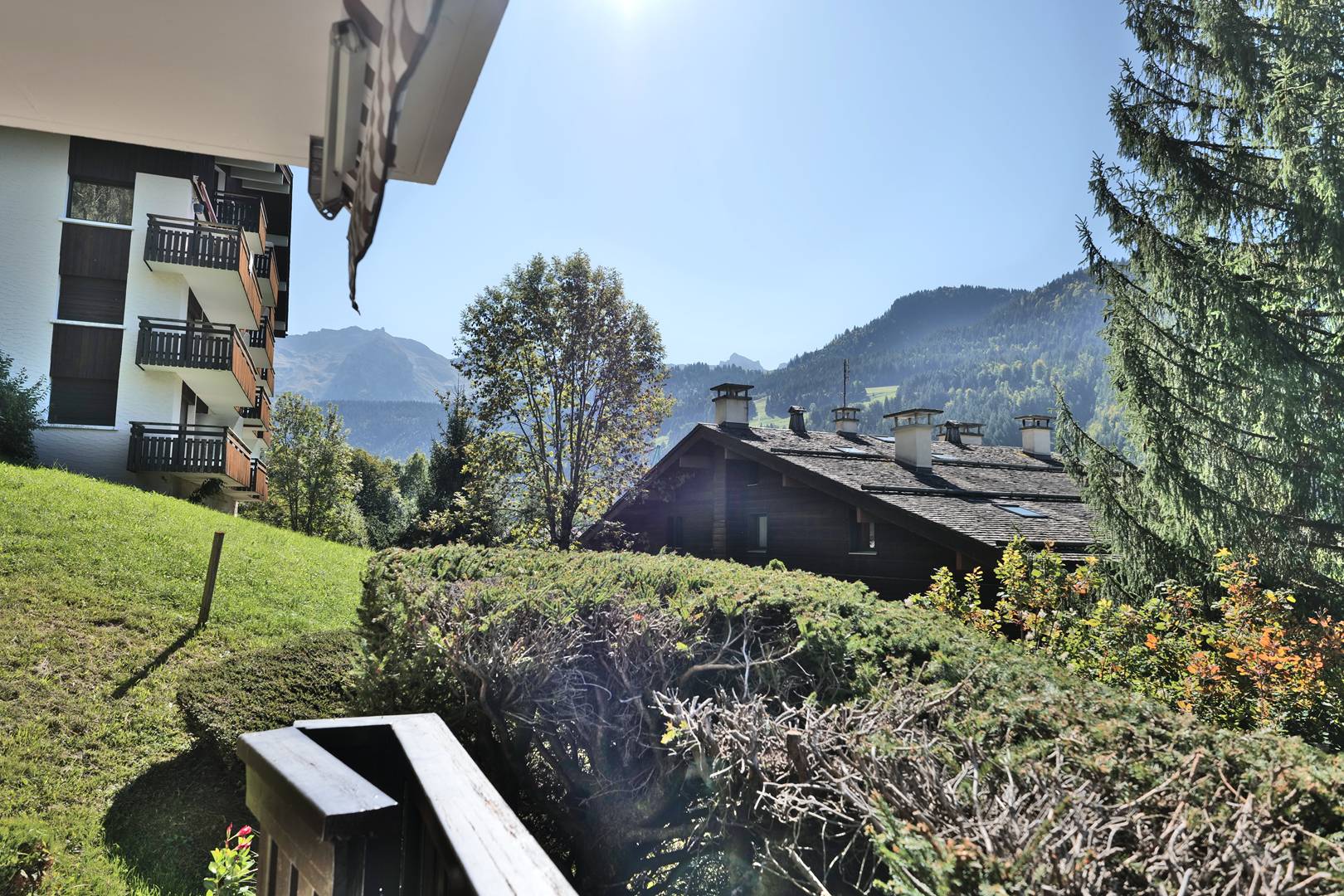 _clients_227445005_photos_223r_4681460