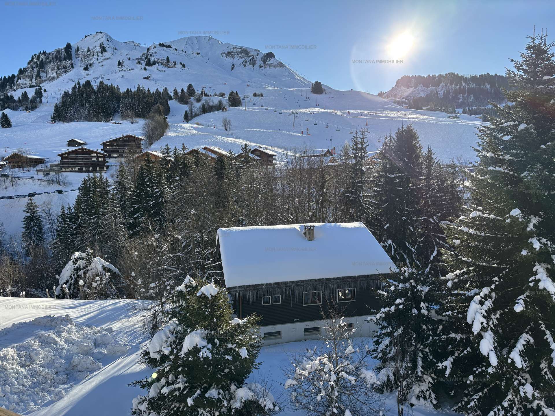 _clients_227445005_photos_228t_5168149