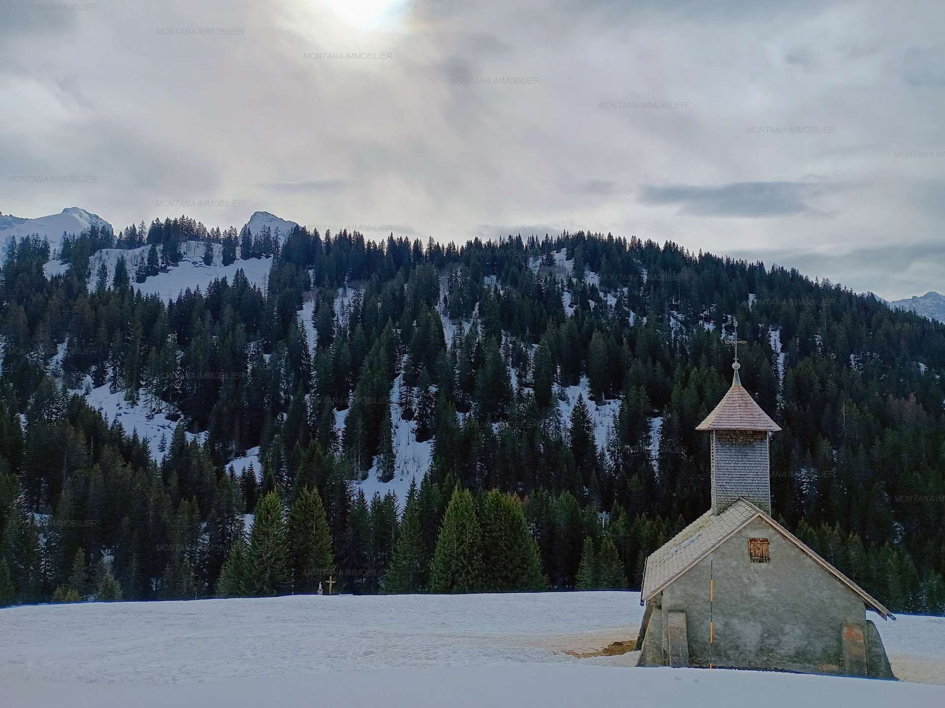 _clients_227445005_photos_239n_5377886