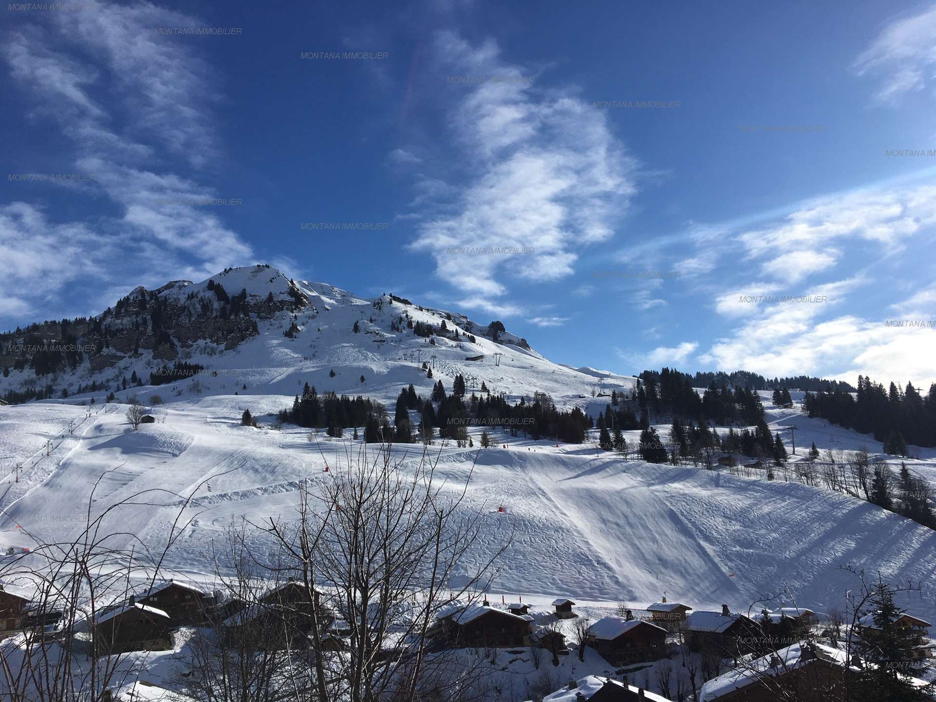 _clients_227445005_photos_240h_4785022