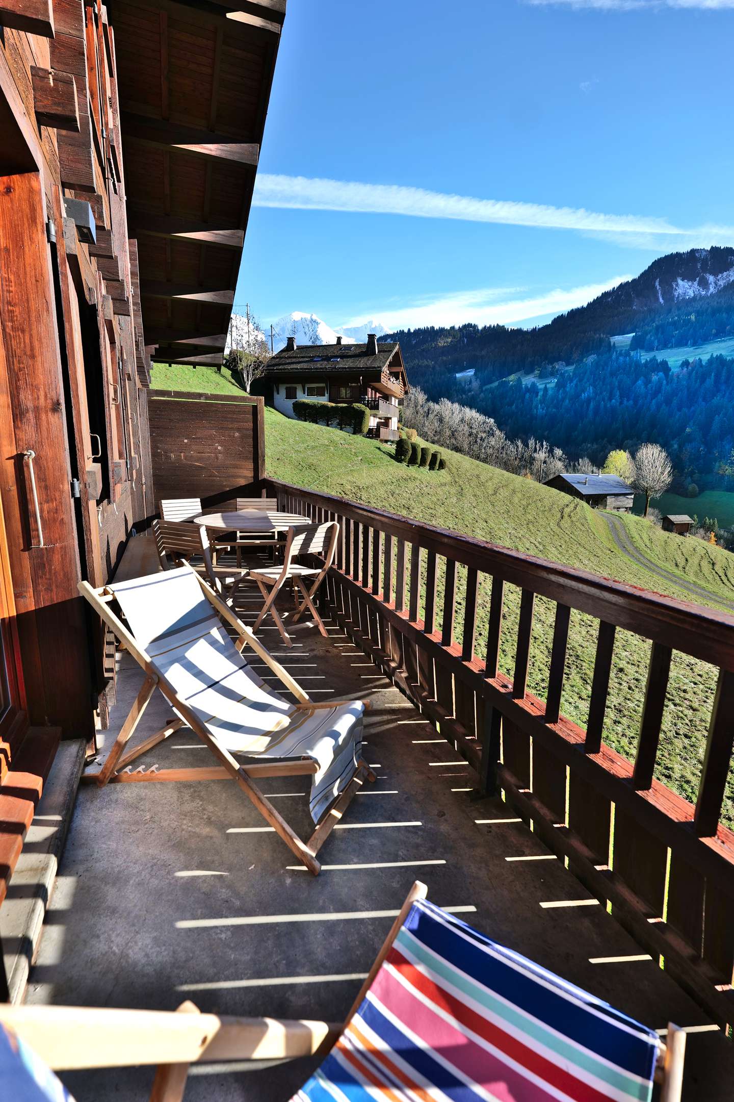 _clients_227445005_photos_246y_5463923