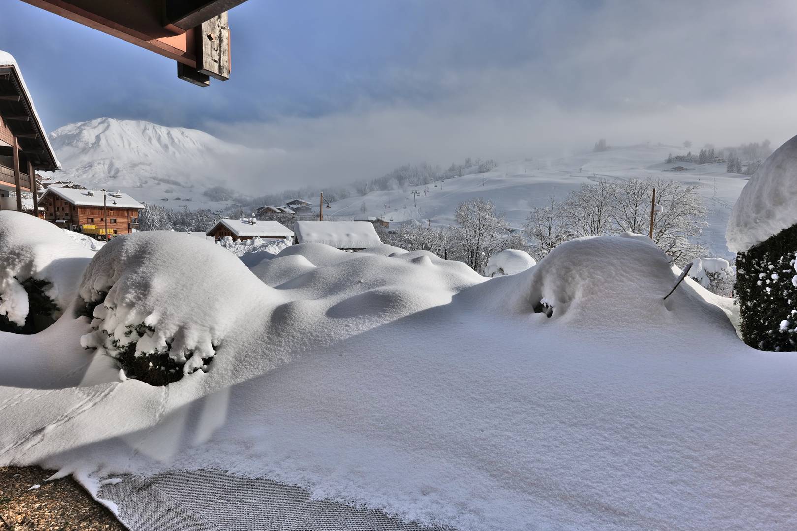 _clients_227445005_photos_249r_5206686