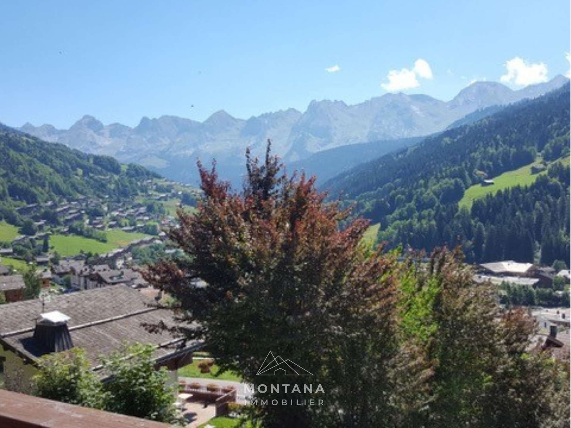 _clients_227445005_photos_24k_4995824