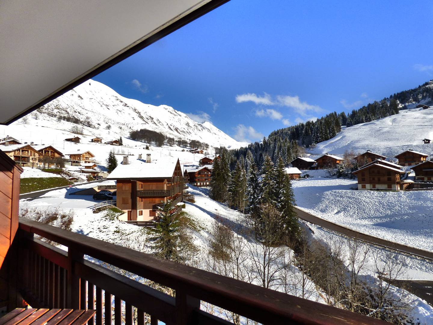 _clients_227445005_photos_251l_4896143